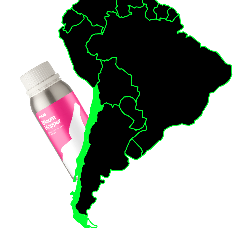 Tecnología cervecera desarrollada desde Chile para Latinoamérica
